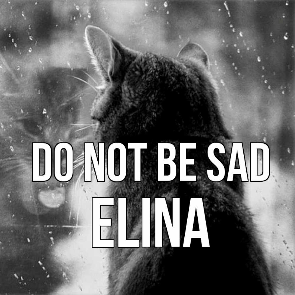Greetings card с именем, Elina Do not be sad отражение кота 1 Greetings with text for free download 