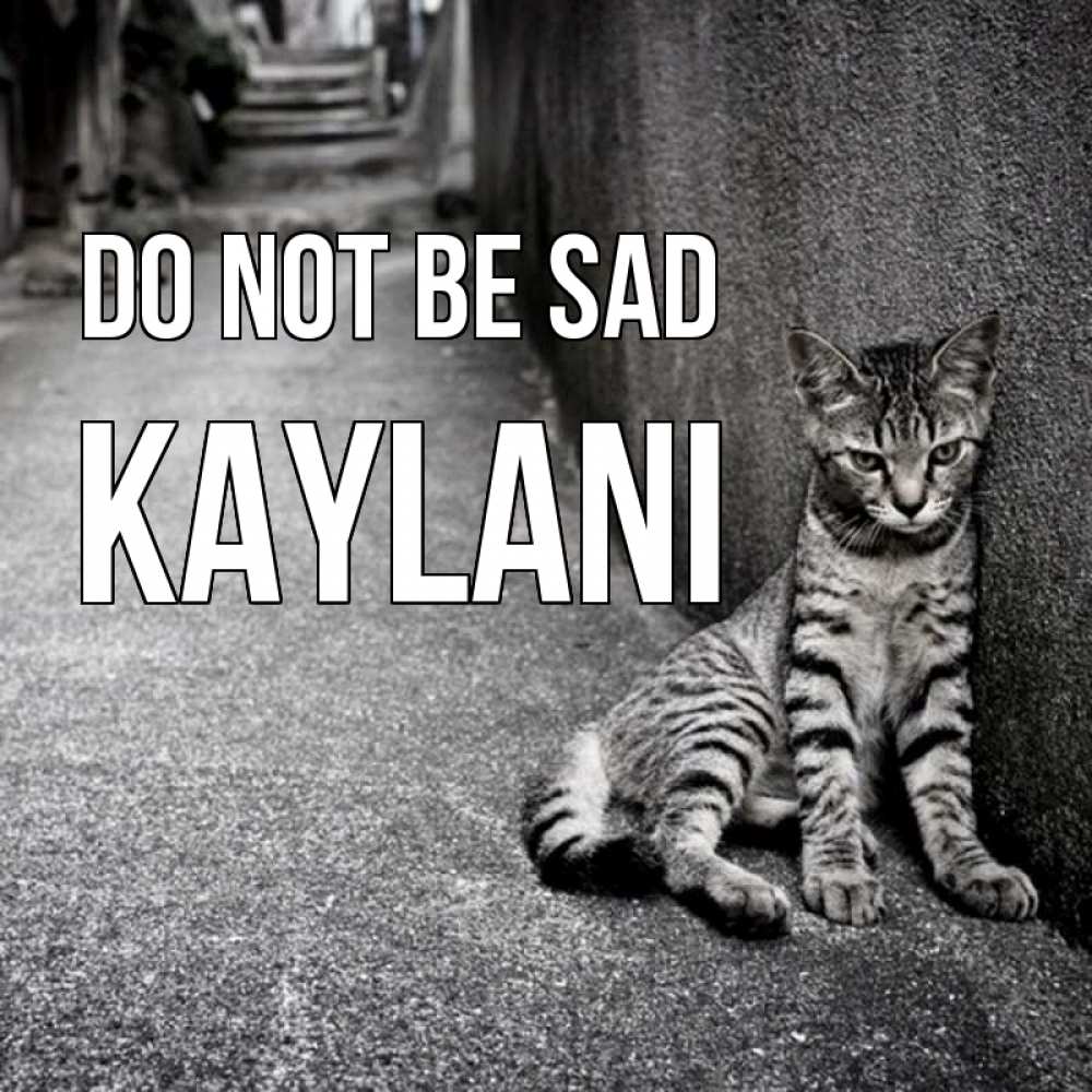 Greetings card с именем, Kaylani Do not be sad скучающий котик Greetings with text for free download 