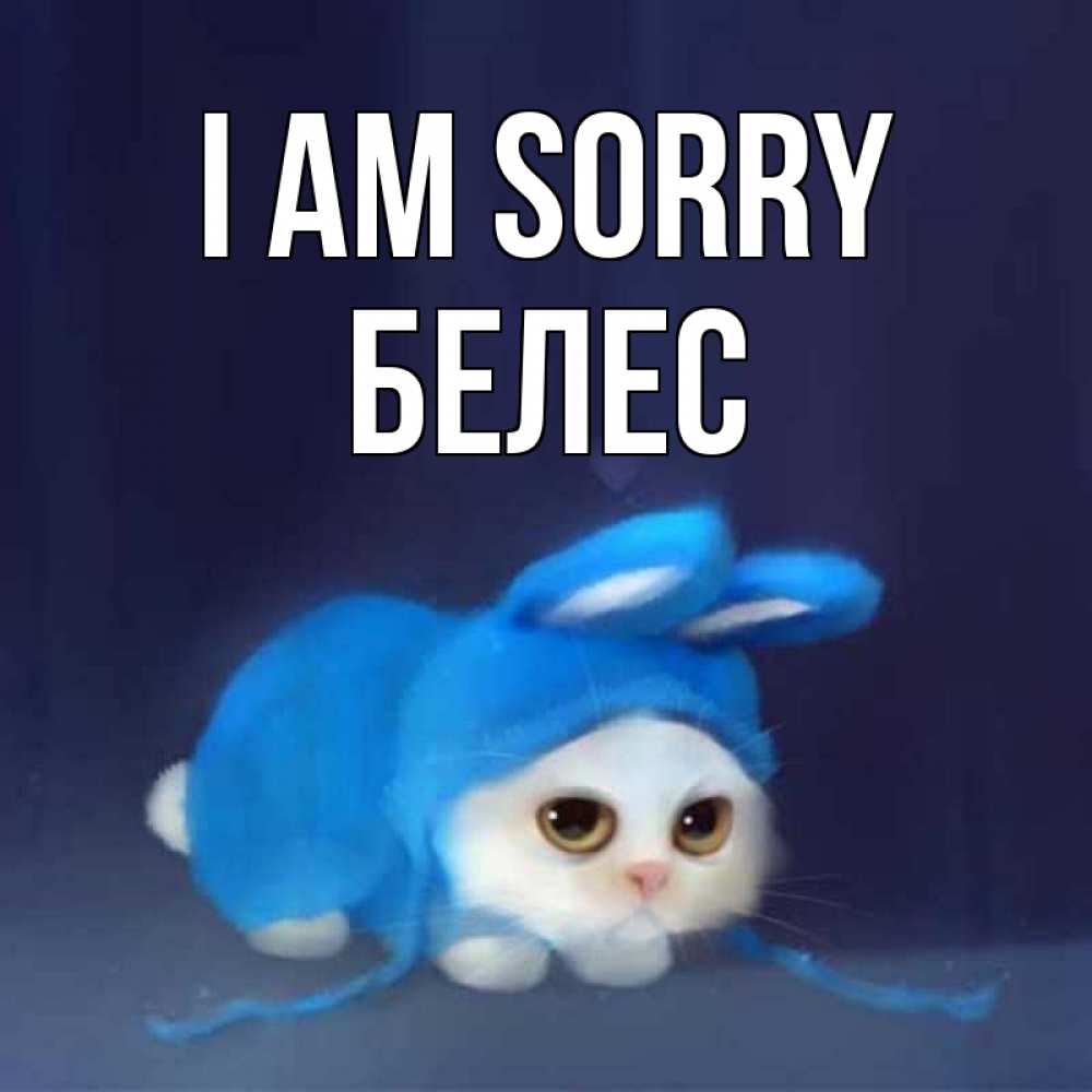 Greetings card с именем, Белес I am sorry невинный котозай просит прощения Greetings with text for free download 