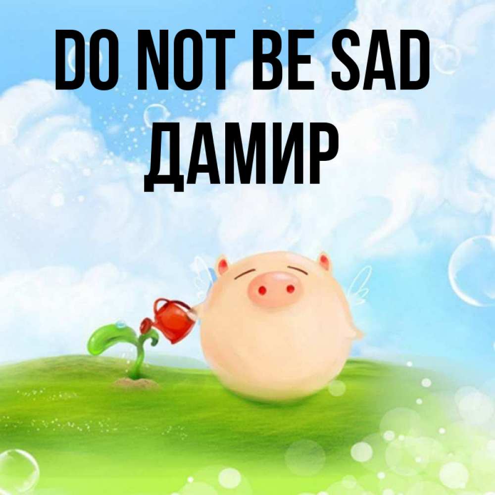 Greetings card с именем, Дамир Do not be sad поливает цветок порося Greetings with text for free download 