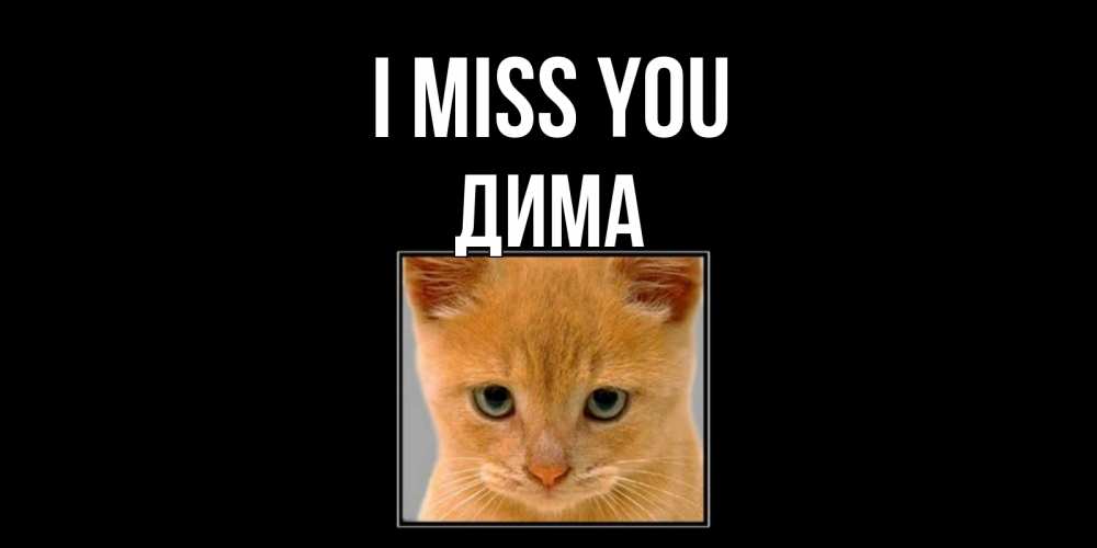 Greetings card с именем, Дима I miss you открытки рыжий котенок скучает по тебе Greetings with text for free download 