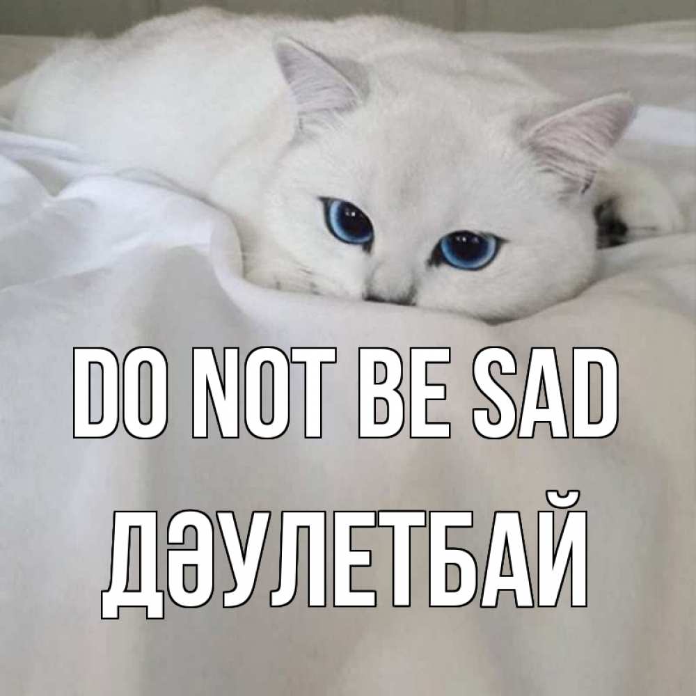 Greetings card с именем, Дәулетбай Do not be sad белый кот с голубыми глазами на белоснежной кровати Greetings with text for free download 