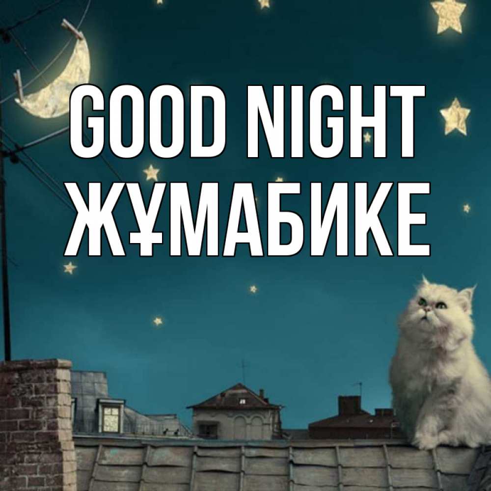 Greetings card с именем, ЖҰМАБИКЕ Good night белый кот сидит на крыше Greetings with text for free download 