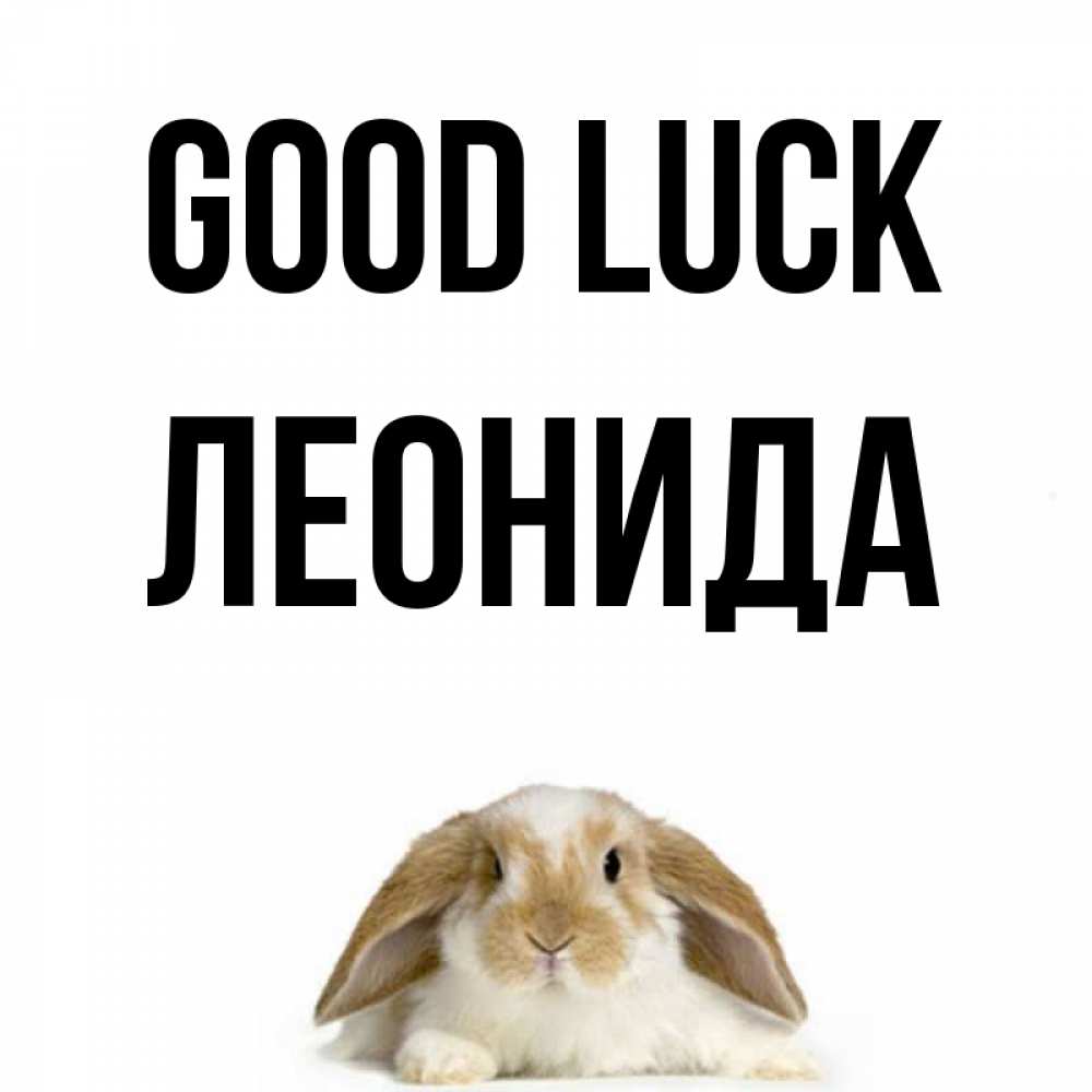 Greetings card с именем, Леонида Good luck открытки с произвольным текстом который можно вставить в открытку и создать ее самостоятельно бесплатно онлайн Greetings with text for free download 