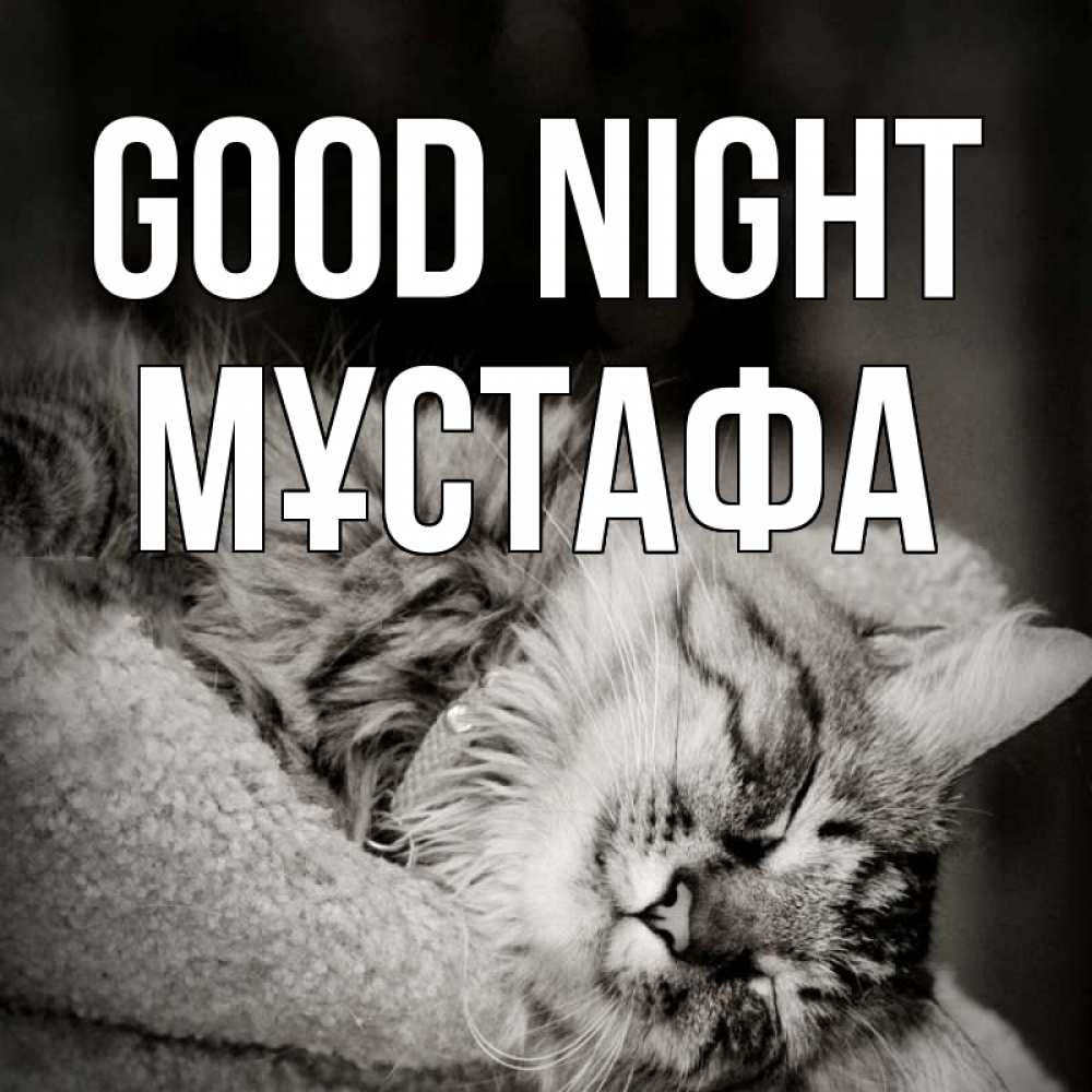Greetings card с именем, МҰСТАФА Good night котярик пушистый Greetings with text for free download 