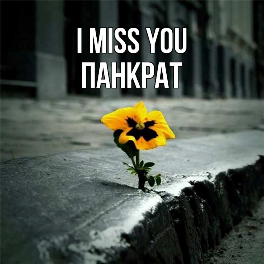 Greetings card с именем, Панкрат I miss you надеюсь будет лучше Greetings with text for free download 