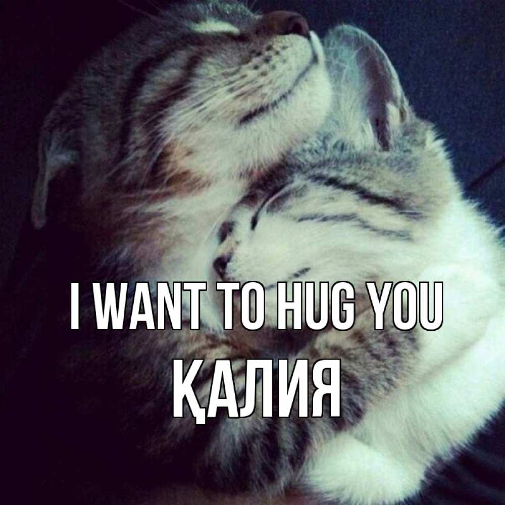 Greetings card с именем, ҚАЛИЯ I want to hug you полосатики Greetings with text for free download 