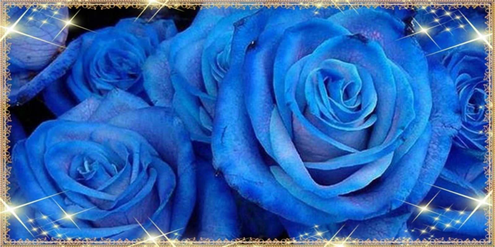 Открытка красивые синие розы на международный женский день для дорогой как поздравить женщину на 8 марта. Конечно же нужно подарить ей открытку с нашего сайта happy women`s day 