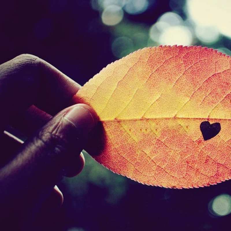 Открытка листик с сердцем  держу лист  I love you 