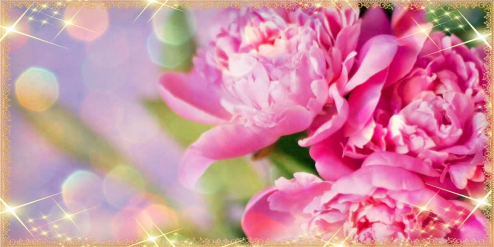 Открытка цветы для женщин на 8 марта красивые открытки с текстом для любимых дам happy women`s day 