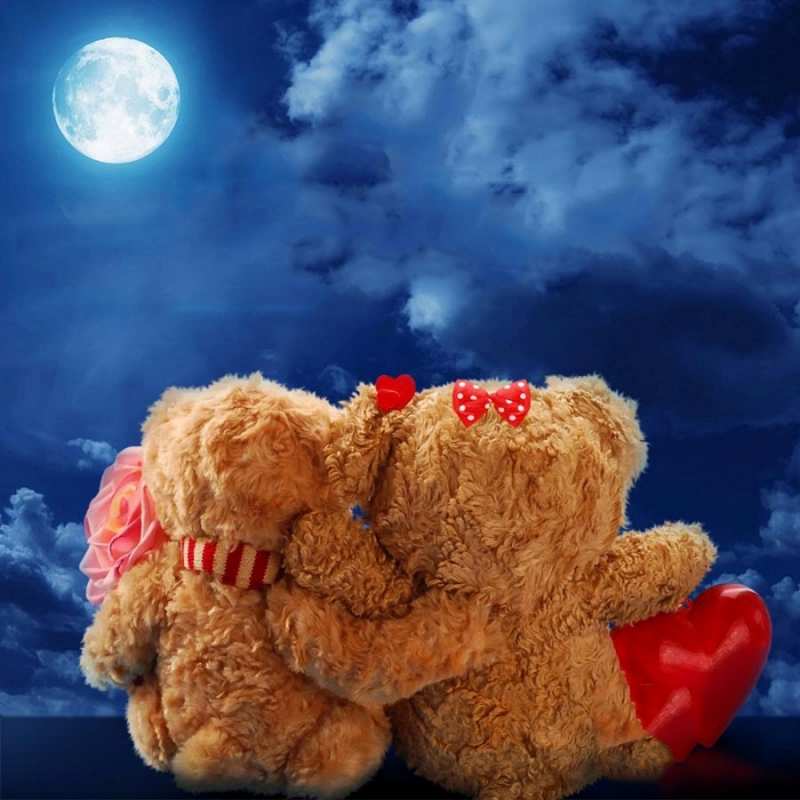 Открытка медведи смотрят на луну  плюшевые  Good night 