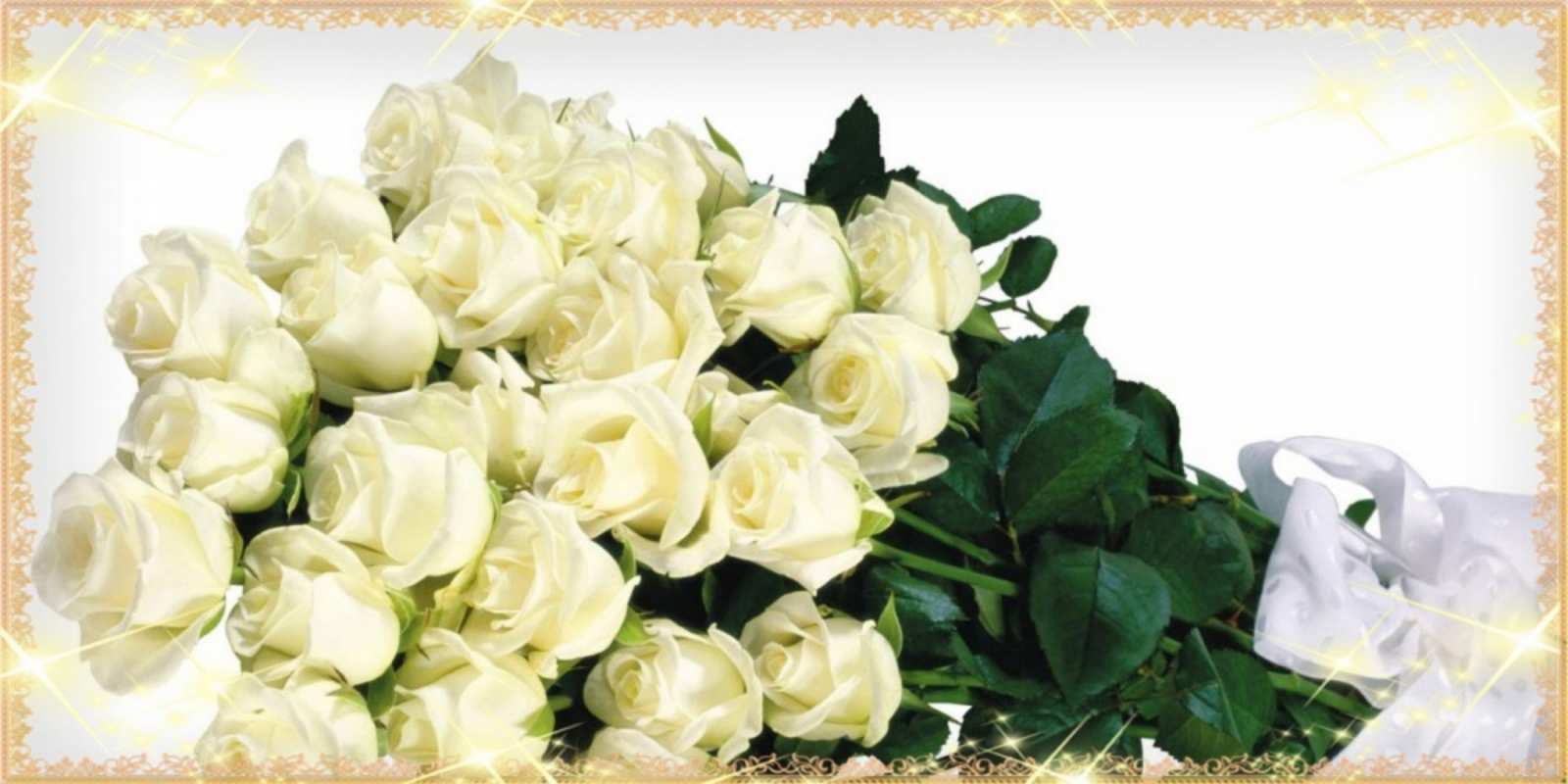 Открытка много кремовых роз на открытке букет с розами желтокремового цвета для любимой на международный женский день happy women`s day 