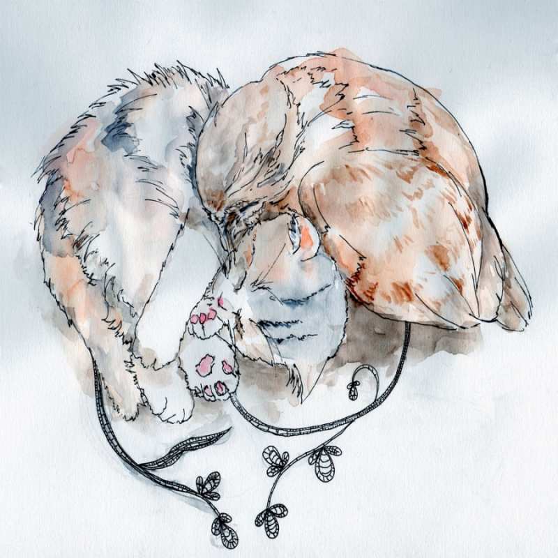 Открытка кот и голубь греются  можно быть вместе даже когда очень разные  I want to hug you 