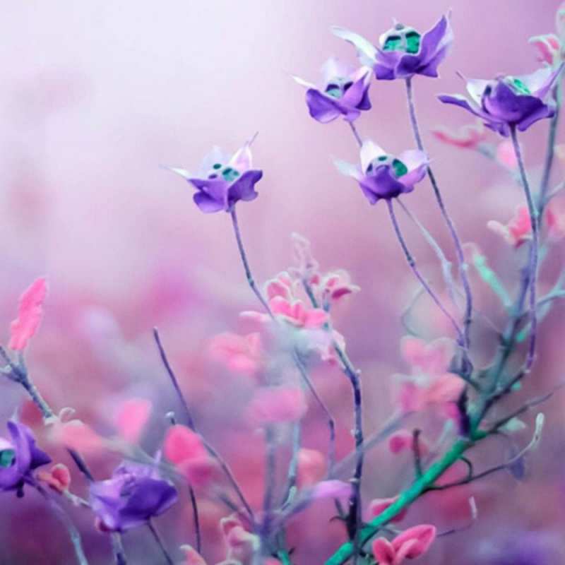 Открытка полевые цветы 2 международный женский день 2 happy women`s day 