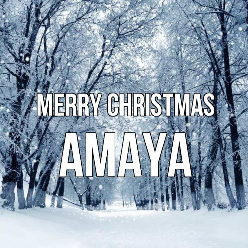 Greetings card с именем, Amaya Merry Christmas снег, лес, парк Greetings with text for free download 