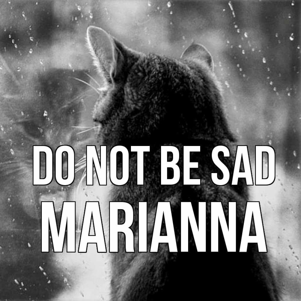 Greetings card с именем, Marianna Do not be sad отражение кота 1 Greetings with text for free download 
