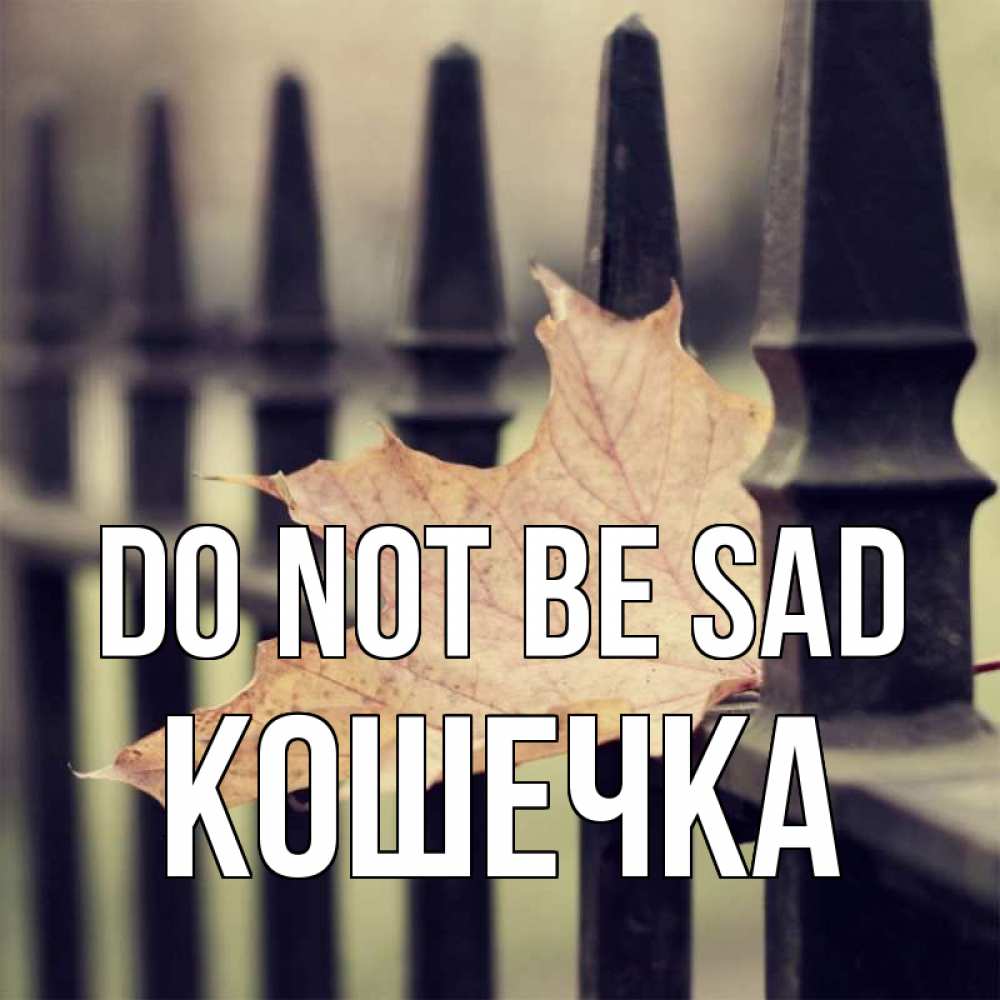 Greetings card с именем, Кошечка Do not be sad лист клена Greetings with text for free download 