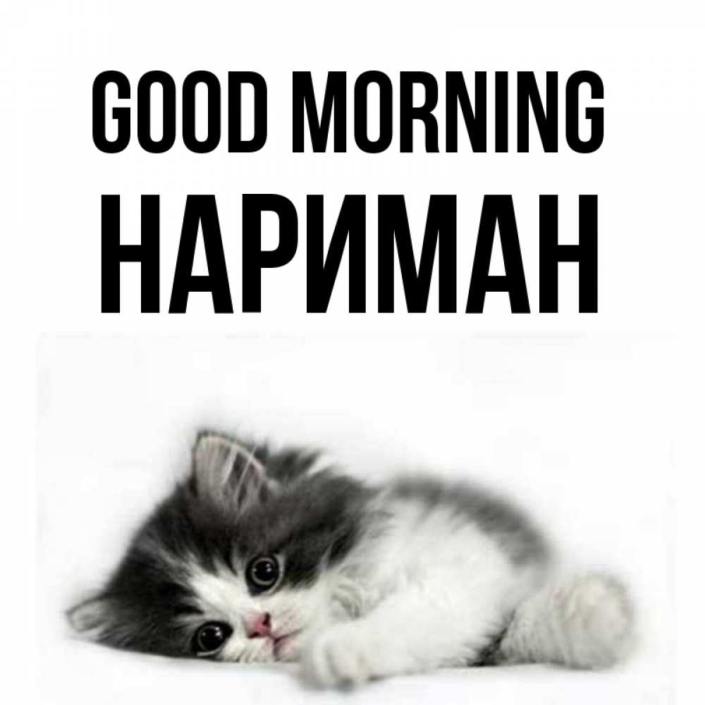 Greetings card с именем, НАРИМАН Good morning кот лапки Greetings with text for free download 