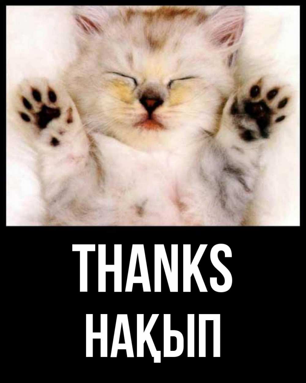 Greetings card с именем, НАҚЫП Thanks маленький котенок Greetings with text for free download 