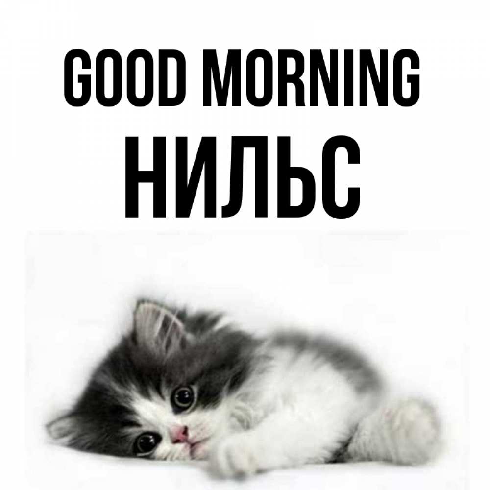 Greetings card с именем, Нильс Good morning кот лапки Greetings with text for free download 