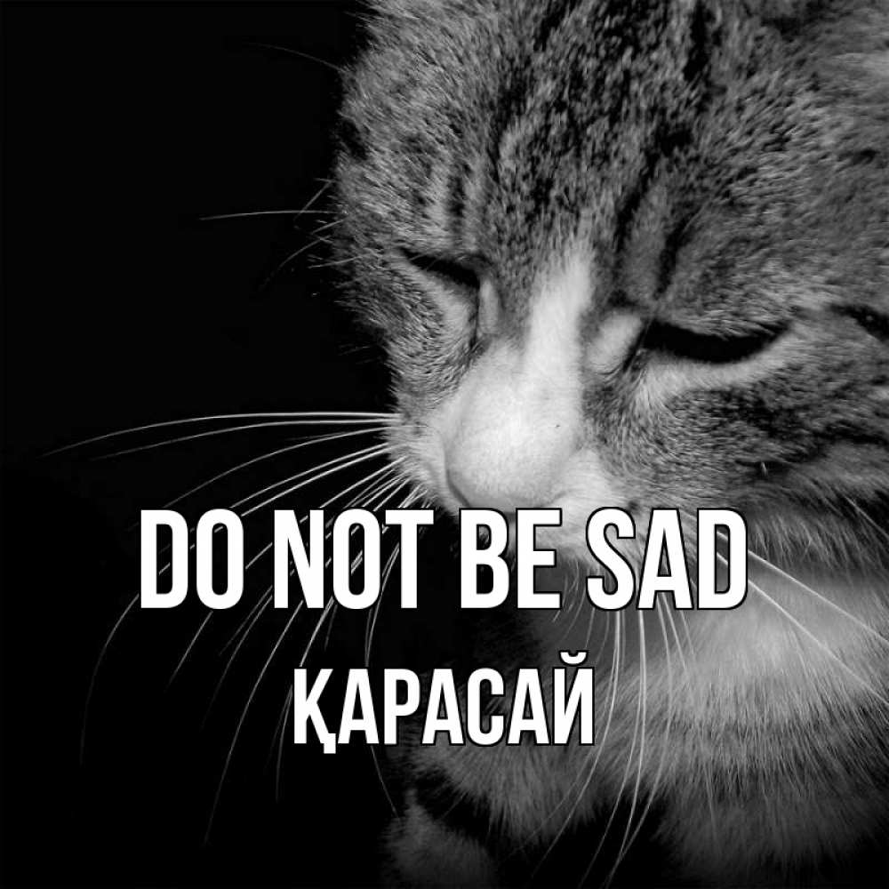 Greetings card с именем, Қарасай Do not be sad грустный котик Greetings with text for free download 