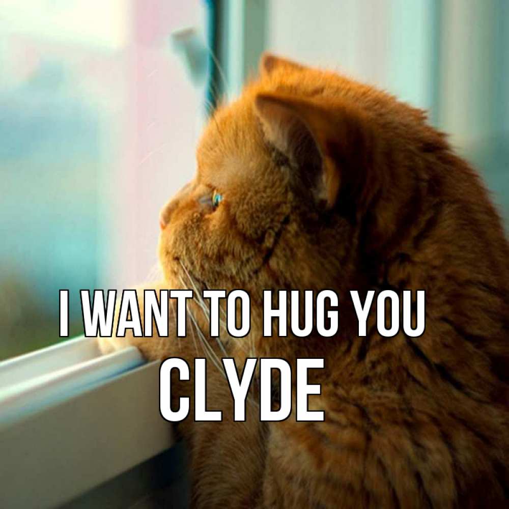 Greetings card с именем, Clyde I want to hug you большой огромный рыжий котяра Greetings with text for free download 