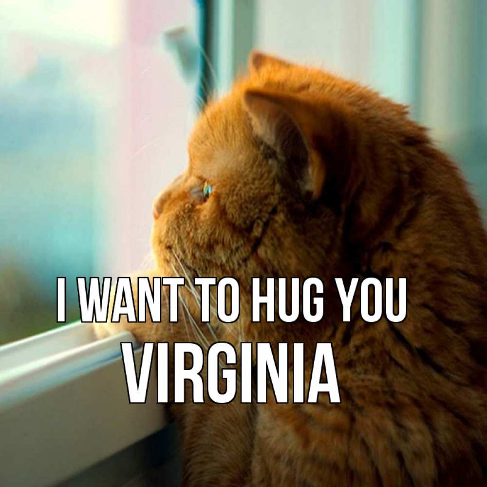 Greetings card с именем, Virginia I want to hug you большой огромный рыжий котяра Greetings with text for free download 