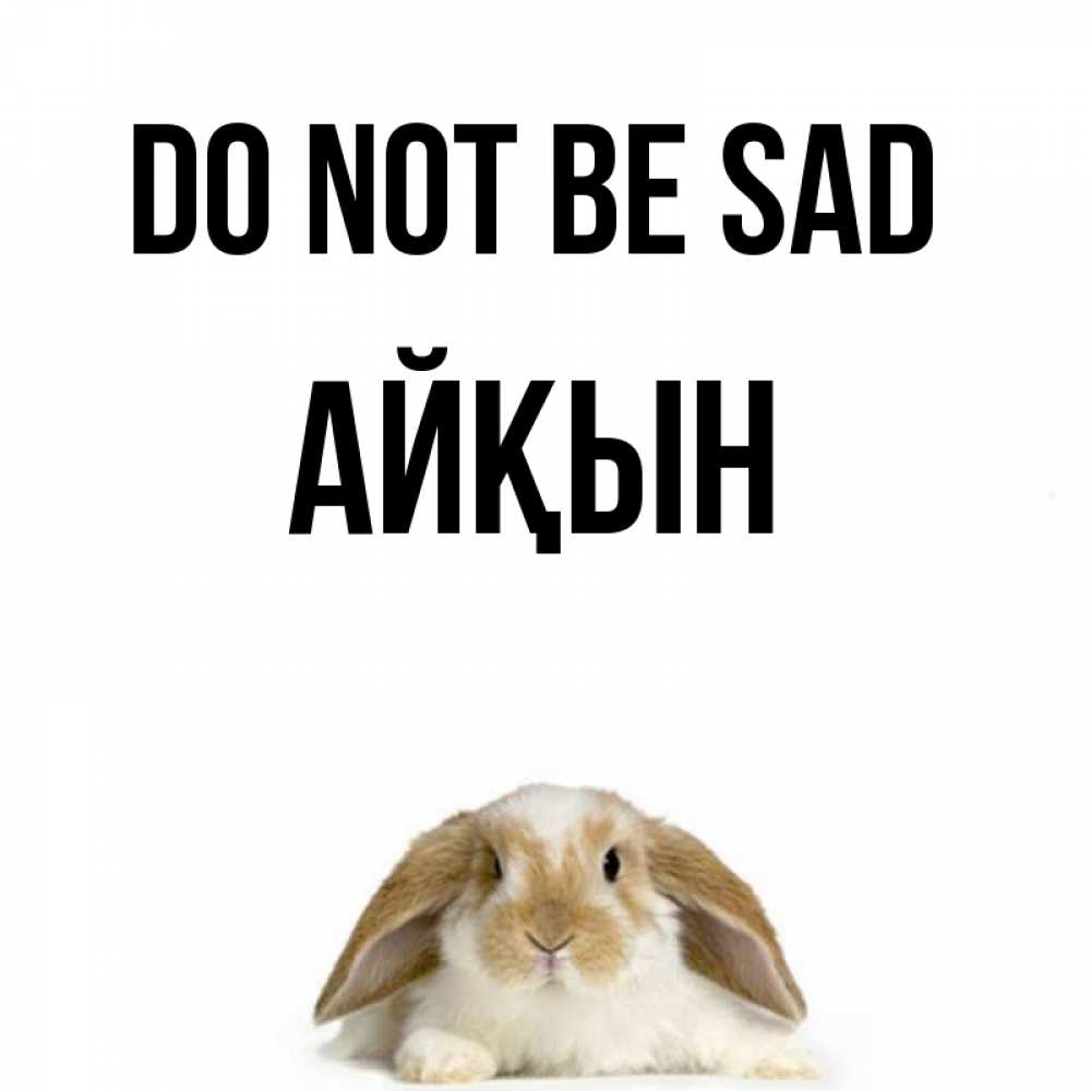 Greetings card с именем, Айқын Do not be sad коричнево белый заяц с большими ушками Greetings with text for free download 