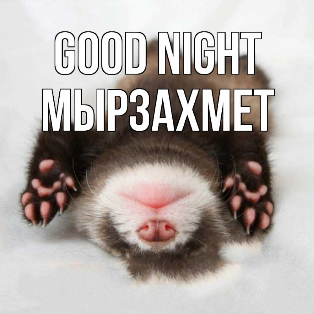 Greetings card с именем, МЫРЗАХМЕТ Good night зверек Greetings with text for free download 