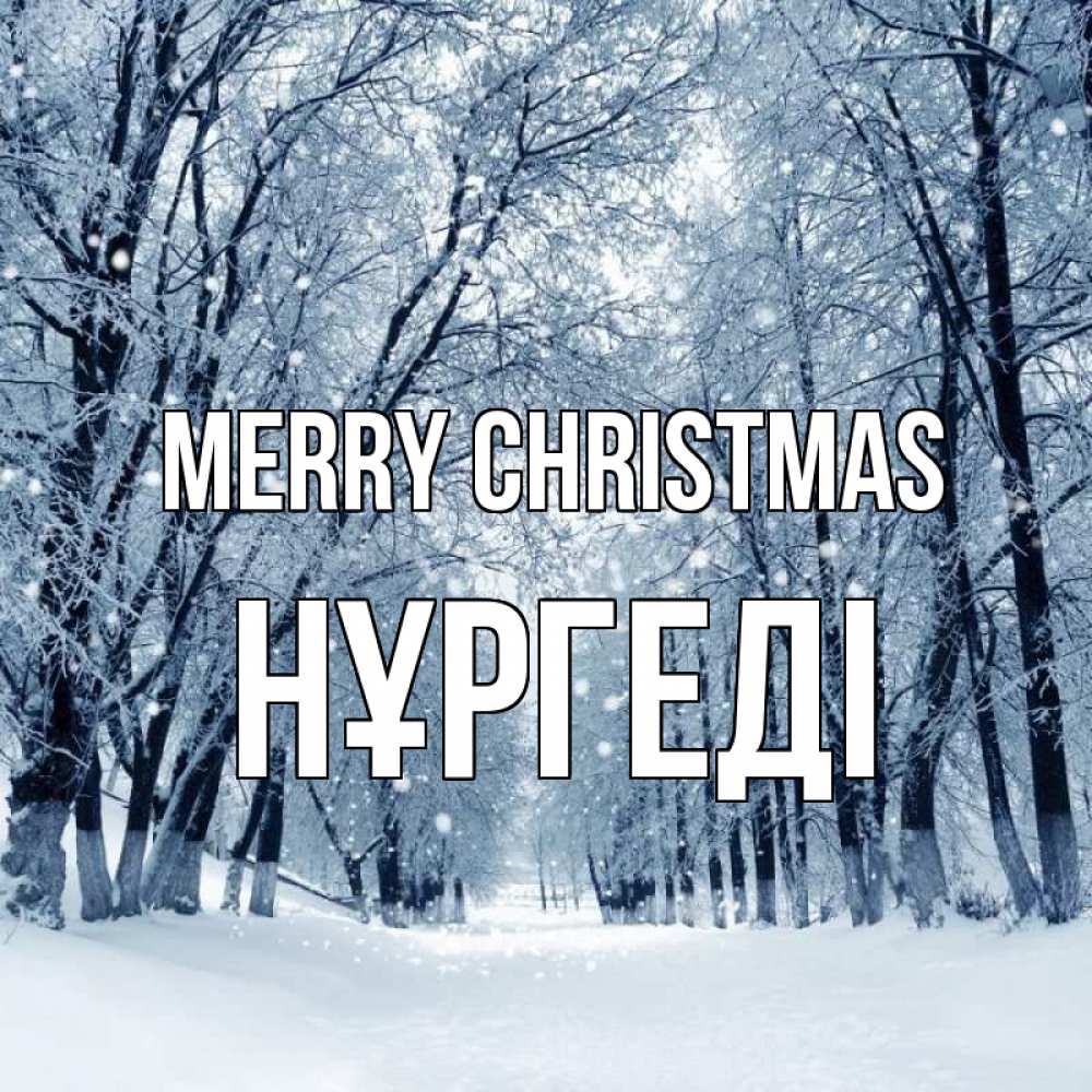 Greetings card с именем, НҰРГЕДІ Merry Christmas снег, лес, парк Greetings with text for free download 