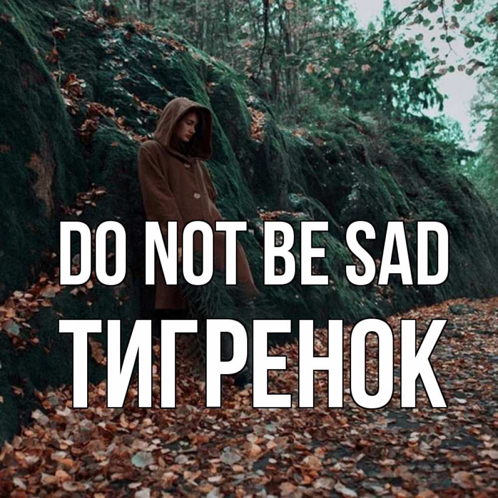 Greetings card с именем, Тигренок Do not be sad осенний лес Greetings with text for free download 