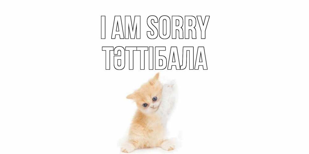 Greetings card с именем, ТӘТТІБАЛА I am sorry кот Greetings with text for free download 