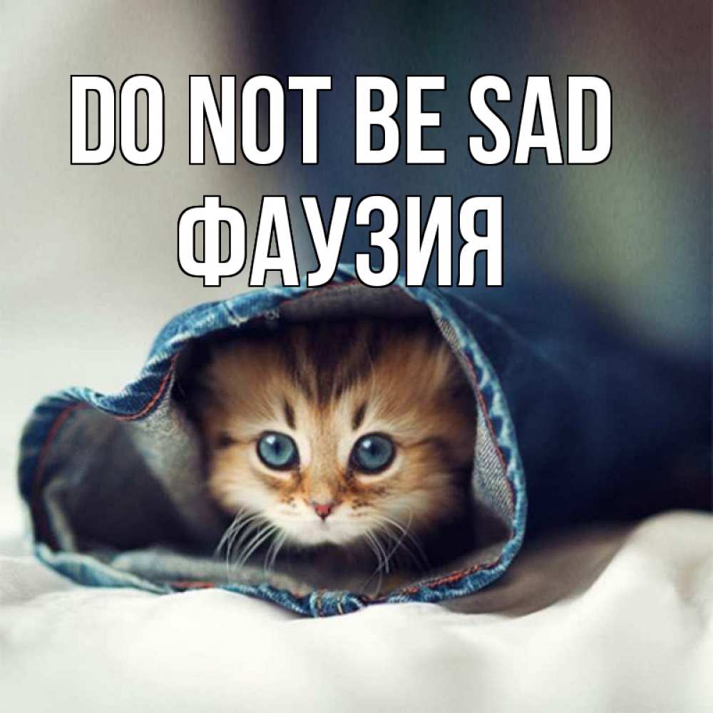 Greetings card с именем, ФАУЗИЯ Do not be sad рыжик котик Greetings with text for free download 