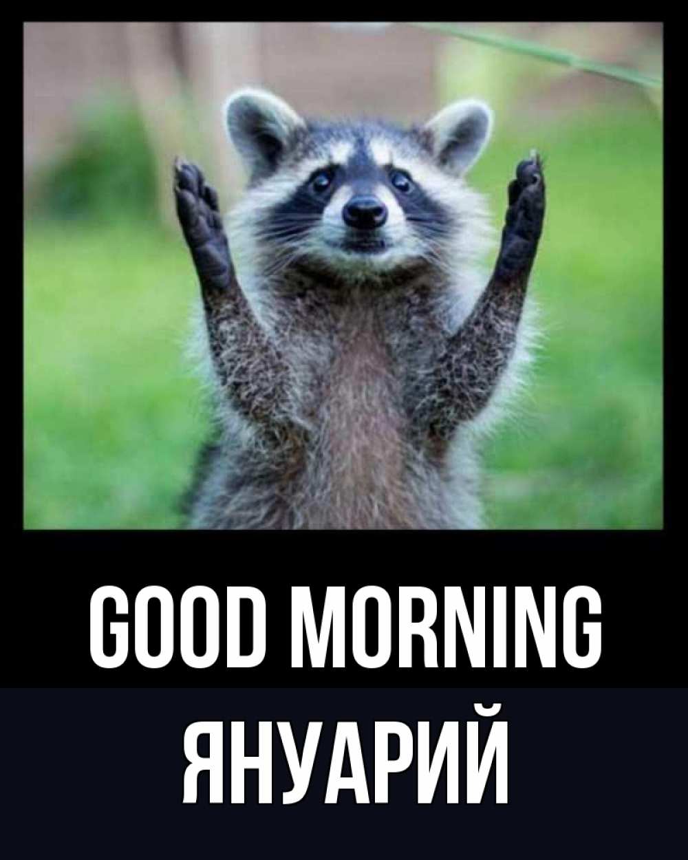 Greetings card с именем, Януарий Good morning хорошее настроение утречком Greetings with text for free download 