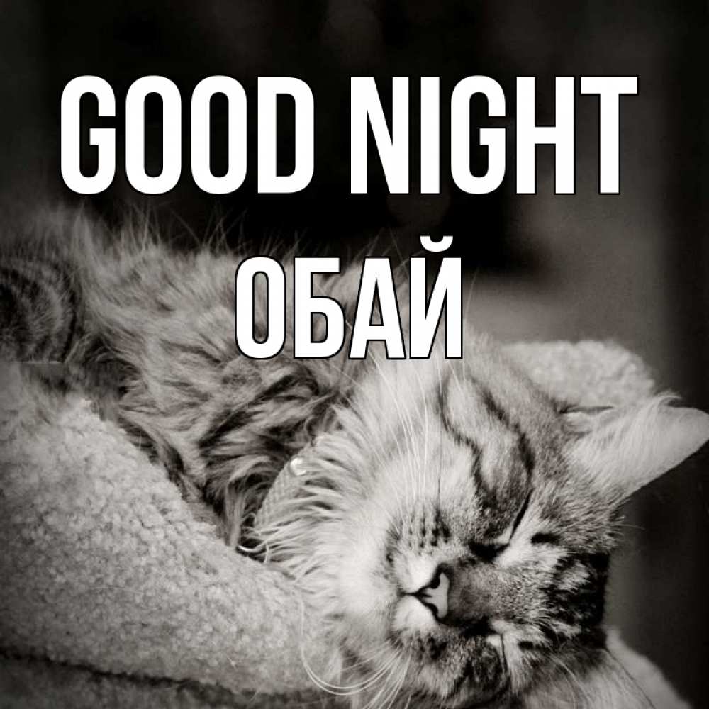 Greetings card с именем, ОБАЙ Good night котярик пушистый Greetings with text for free download 