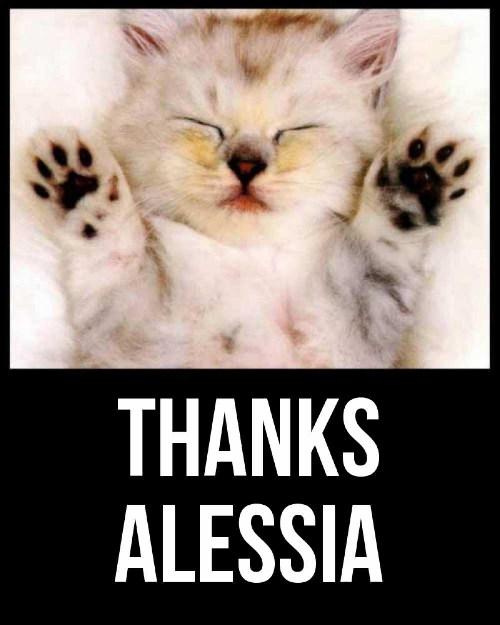Greetings card с именем, Alessia Thanks маленький котенок Greetings with text for free download 