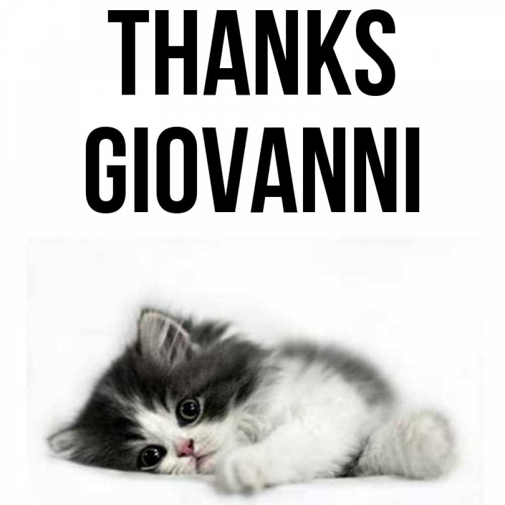 Greetings card с именем, Giovanni Thanks черный и белый кот Greetings with text for free download 