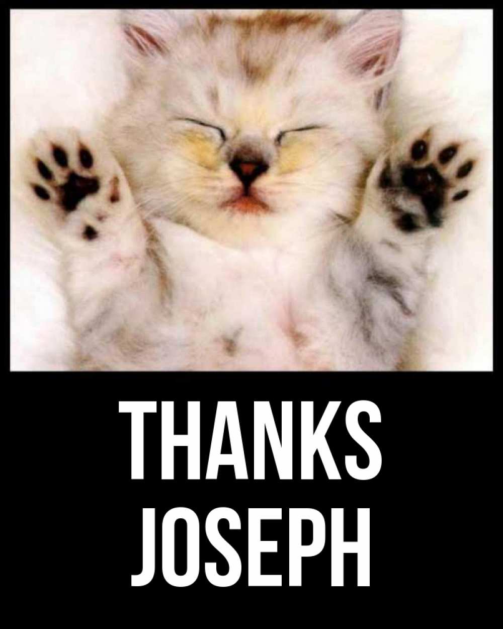 Greetings card с именем, Joseph Thanks маленький котенок Greetings with text for free download 