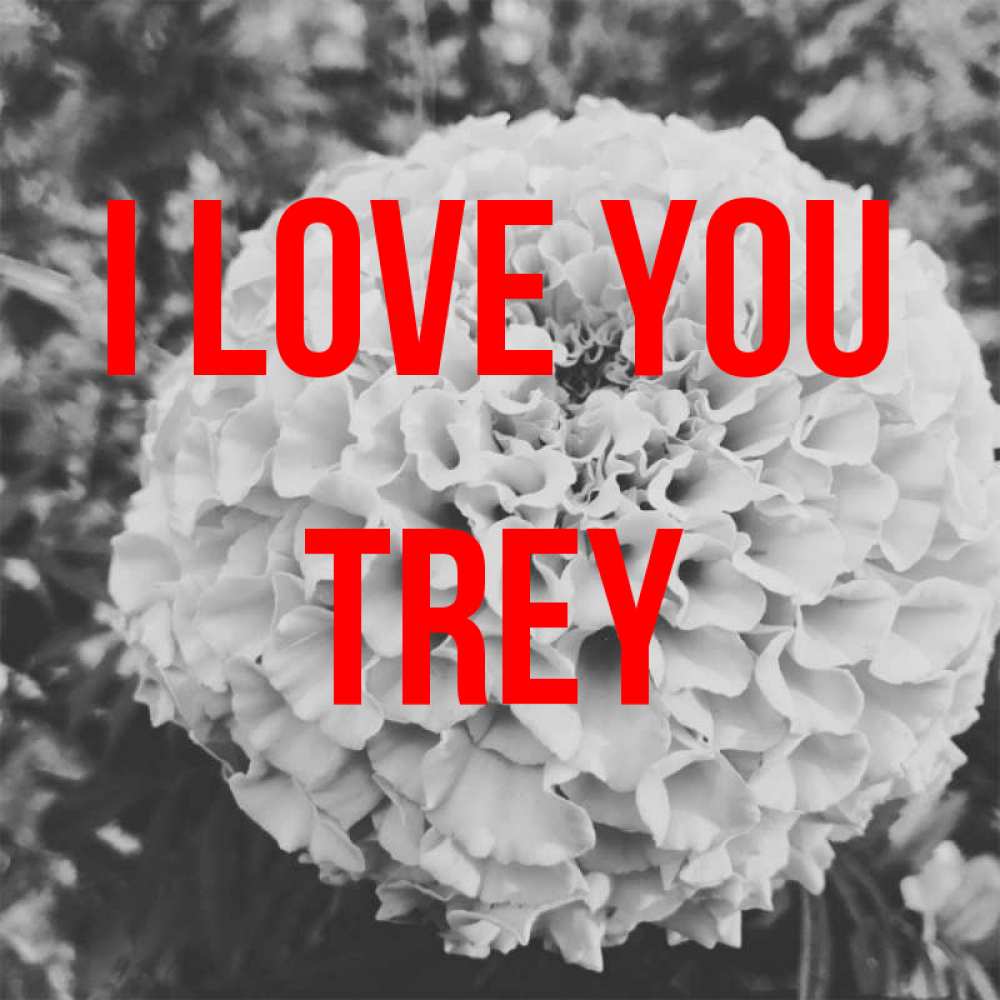 Greetings card с именем, Trey I love you подпись Greetings with text for free download 