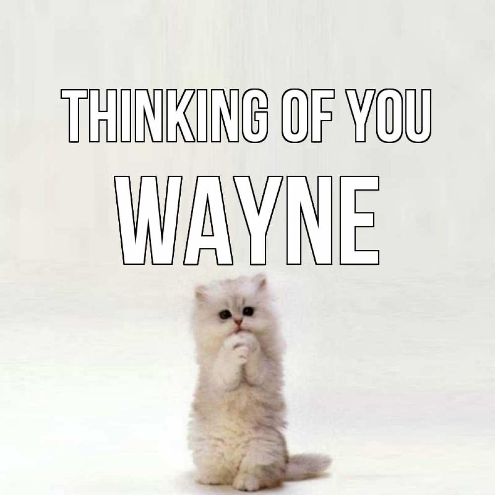 Greetings card с именем, Wayne Thinking of you кот стоит на задних лапах Greetings with text for free download 