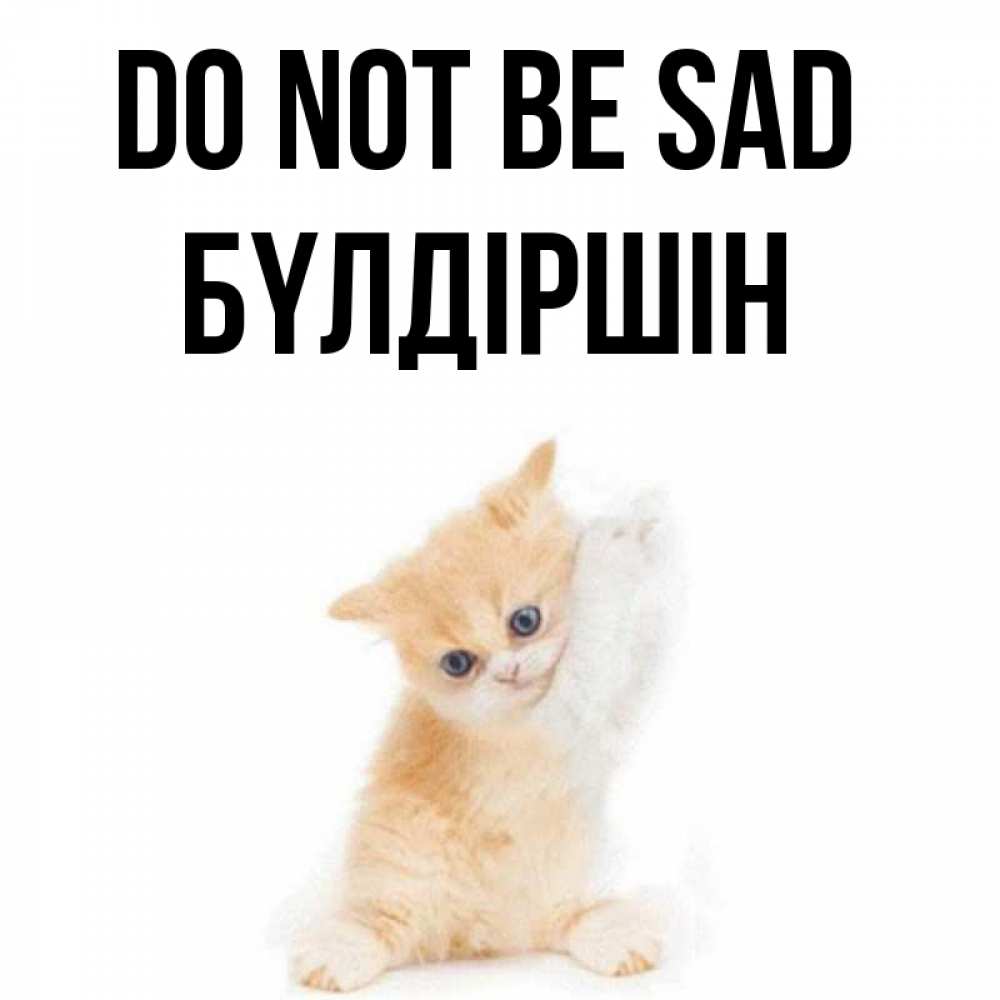 Greetings card с именем, БҮЛДІРШІН Do not be sad просящий кот Greetings with text for free download 