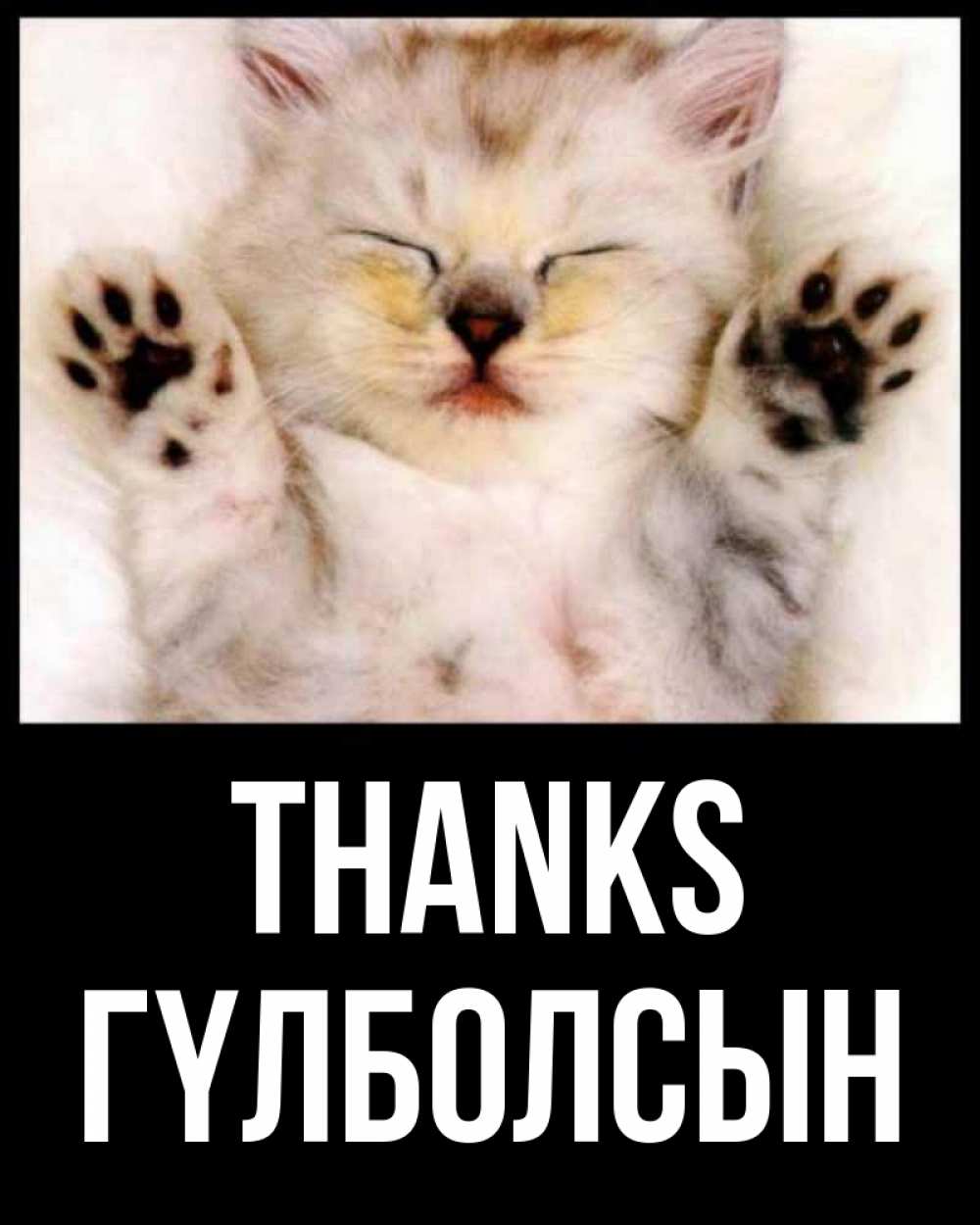 Greetings card с именем, ГҮЛБОЛСЫН Thanks маленький котенок Greetings with text for free download 