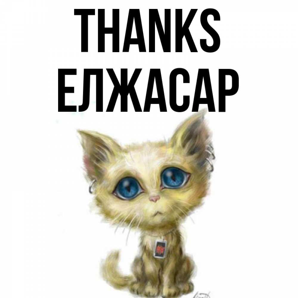 Greetings card с именем, Елжасар Thanks рисованный кот благодарит вас Greetings with text for free download 