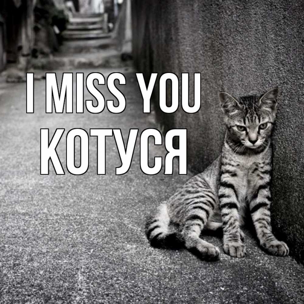 Greetings card с именем, Котуся I miss you одиноко котику Greetings with text for free download 
