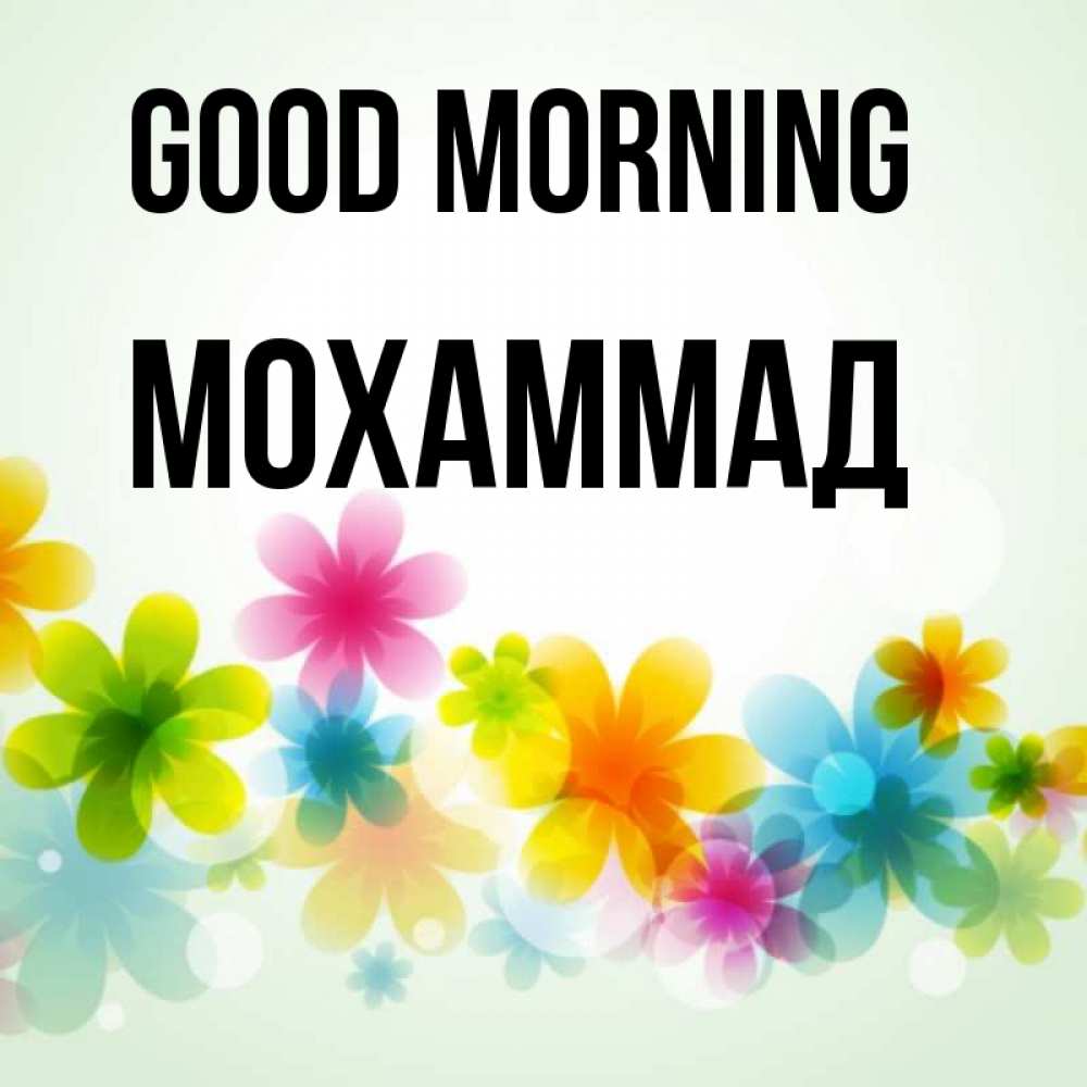 Greetings card с именем, Мохаммад Good morning позитивные цветочки Greetings with text for free download 