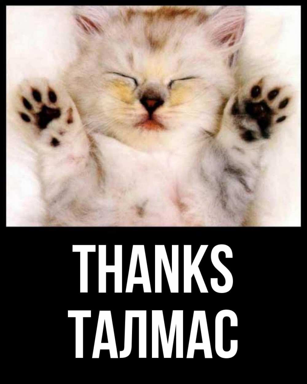Greetings card с именем, ТАЛМАС Thanks маленький котенок Greetings with text for free download 