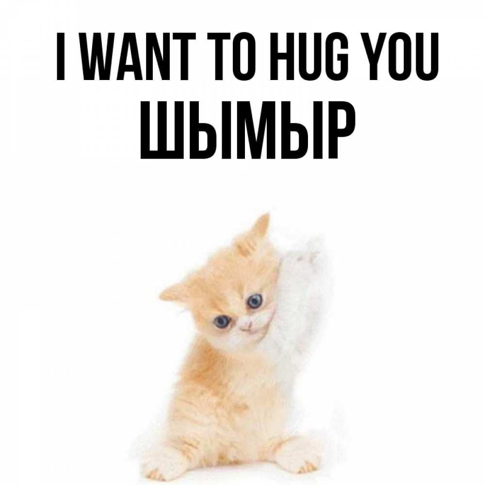 Greetings card с именем, ШЫМЫР I want to hug you я хочу очень скорее обнимаешек Greetings with text for free download 
