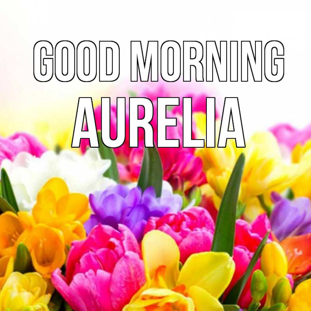 Greetings card с именем, Aurelia Good morning создать открытку со свое подписью Greetings with text for free download 