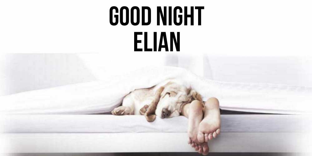 Greetings card с именем, Elian Good night кровать с собакой пожелание сладких снов и спокойной ночи Greetings with text for free download 