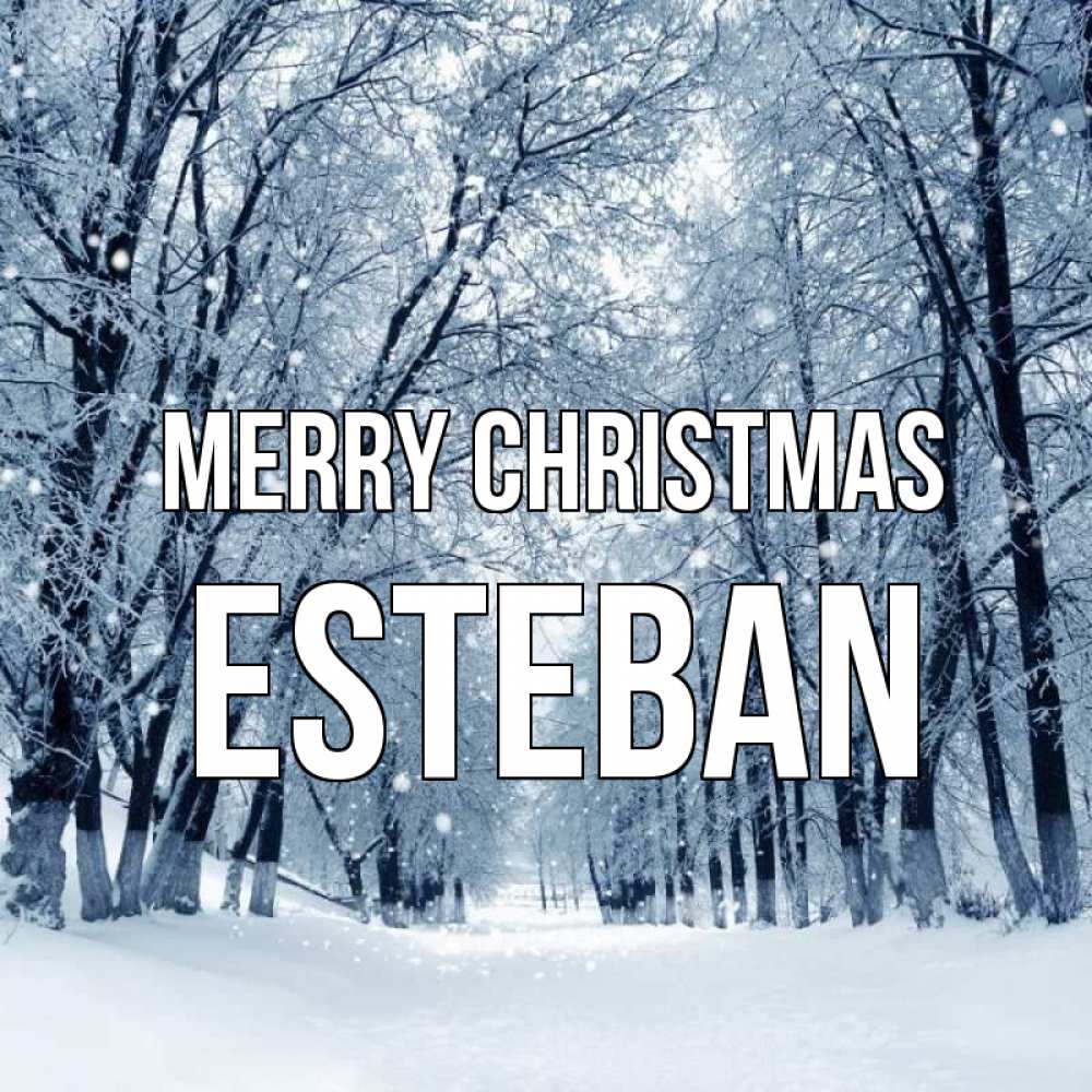 Greetings card с именем, Esteban Merry Christmas снег, лес, парк Greetings with text for free download 